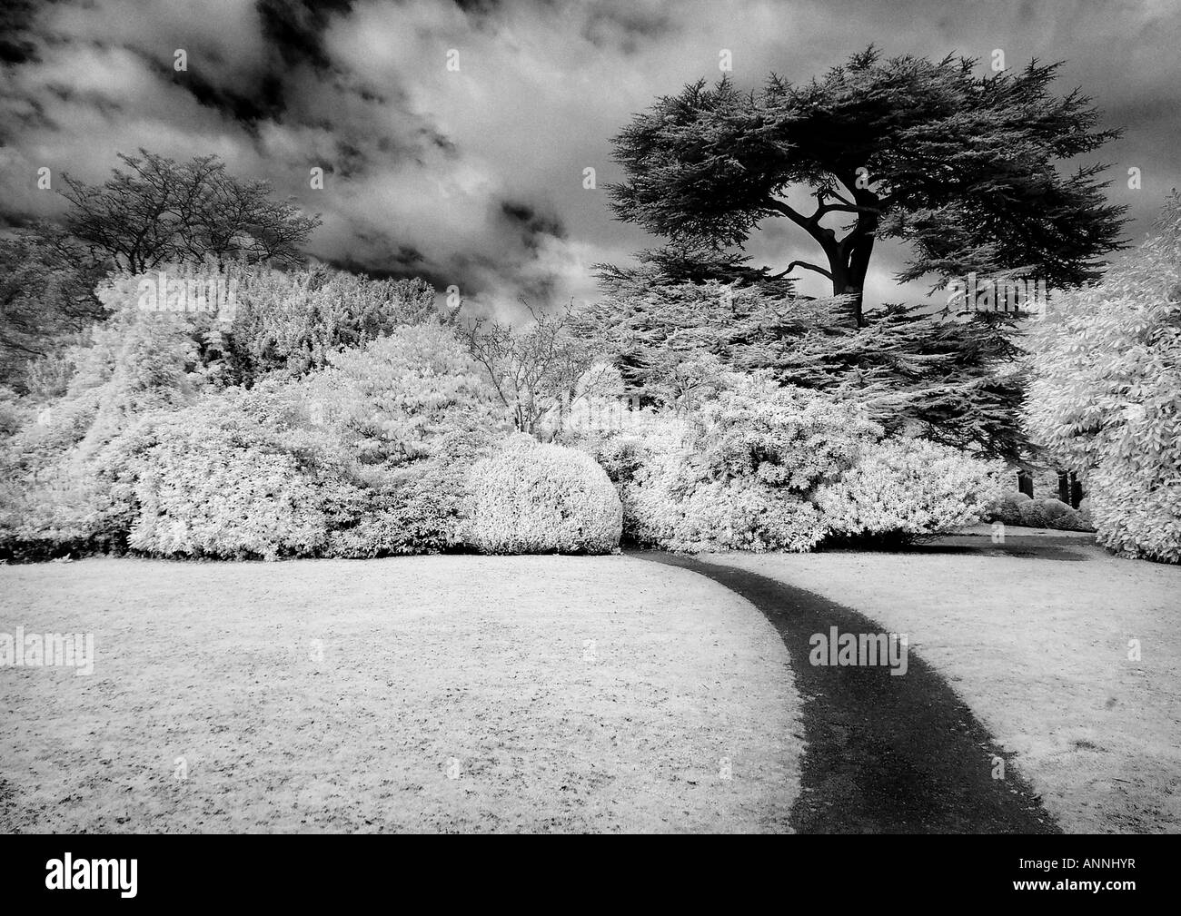 La Newstead Abbey Gardens Foto Stock