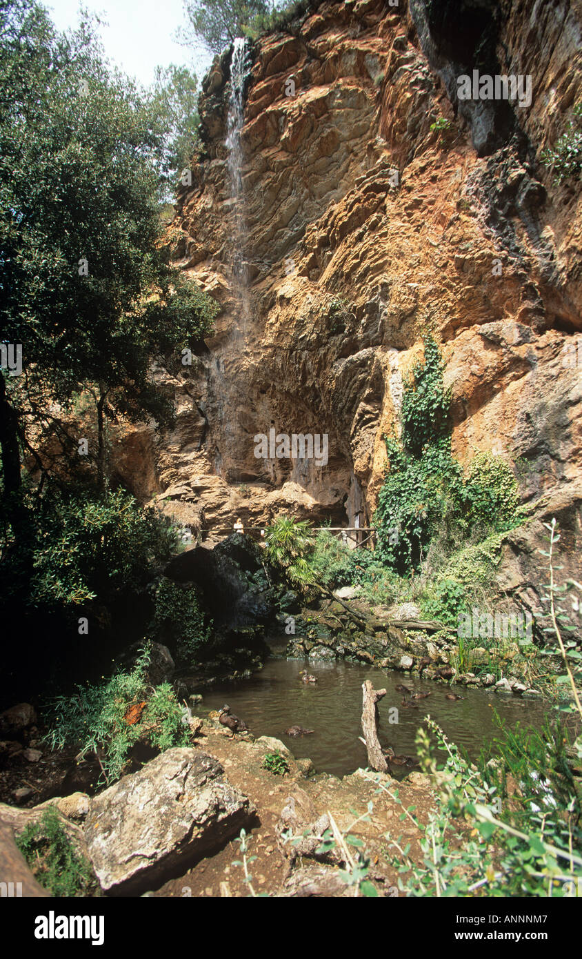 Il sottile cascata di una cascata cadendo verso il basso di una ripida roccia tra gli alti alberi nella riserva naturale di La Reserva sulle pendici del Puig de Galatzo Foto Stock