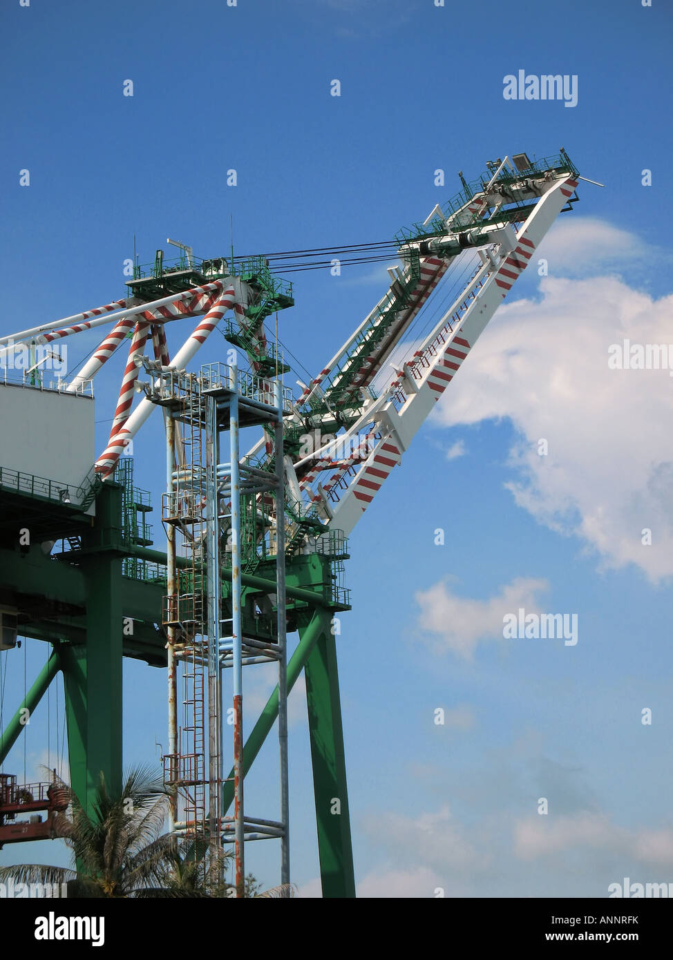 Contenitore grande gru Foto Stock