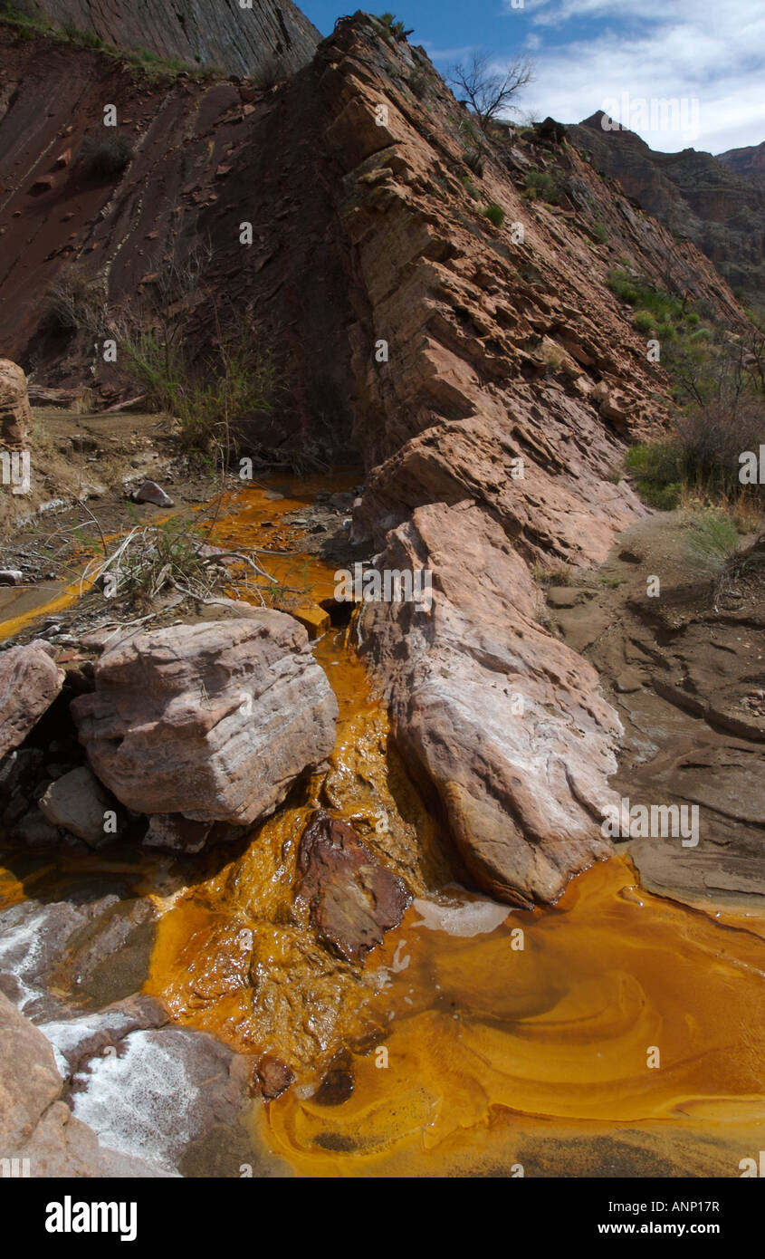 Carico minerale acqua fluente in Kwagunt Creek da Nankoweap Butte nel Parco Nazionale del Grand Canyon, Arizona, Stati Uniti Foto Stock