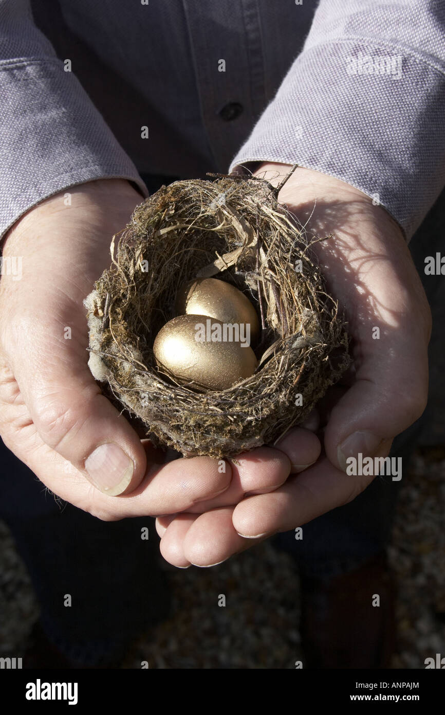 Risparmi due mani a tazza tenendo un piccolo nido di uccelli contenente due uova d'oro che rappresenta il tuo nido-uovo Foto Stock