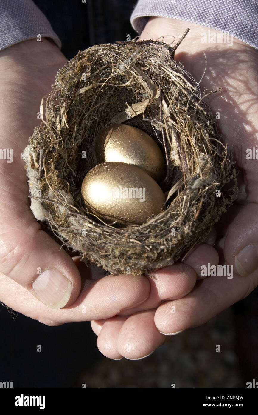 Risparmi due mani a tazza tenendo un piccolo nido di uccelli contenente due uova d'oro che rappresenta il tuo nido-uovo Foto Stock