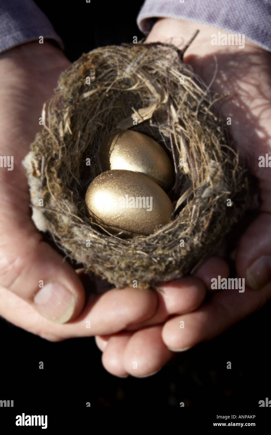 Risparmi due mani a tazza tenendo un piccolo nido di uccelli contenente due uova d'oro che rappresenta il tuo nido uovo Foto Stock