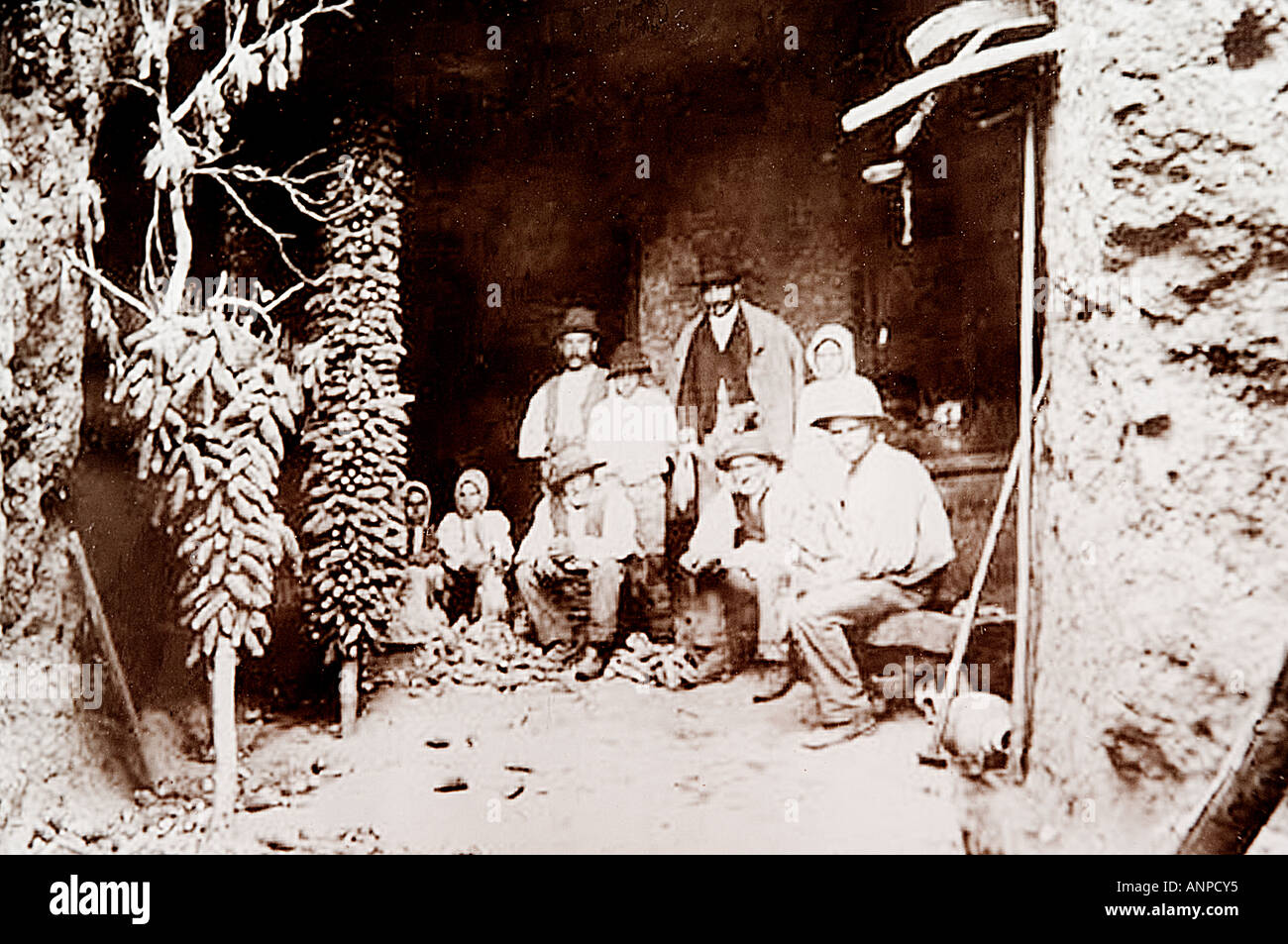 Archivio foto di famiglia con le pannocchie di granoturco. Il Molino de Gofio museo etnografico a Hermigua, La Gomera, isole Canarie. Foto Stock