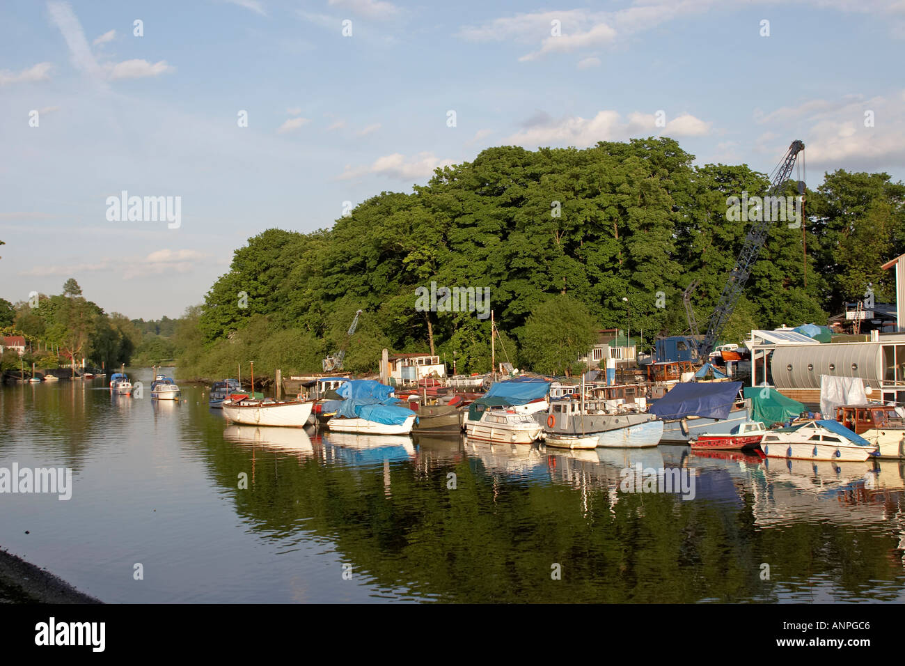 Eel Pie island e il fiume Tamigi al tramonto in estate Twickenham London TW1 Inghilterra Foto Stock