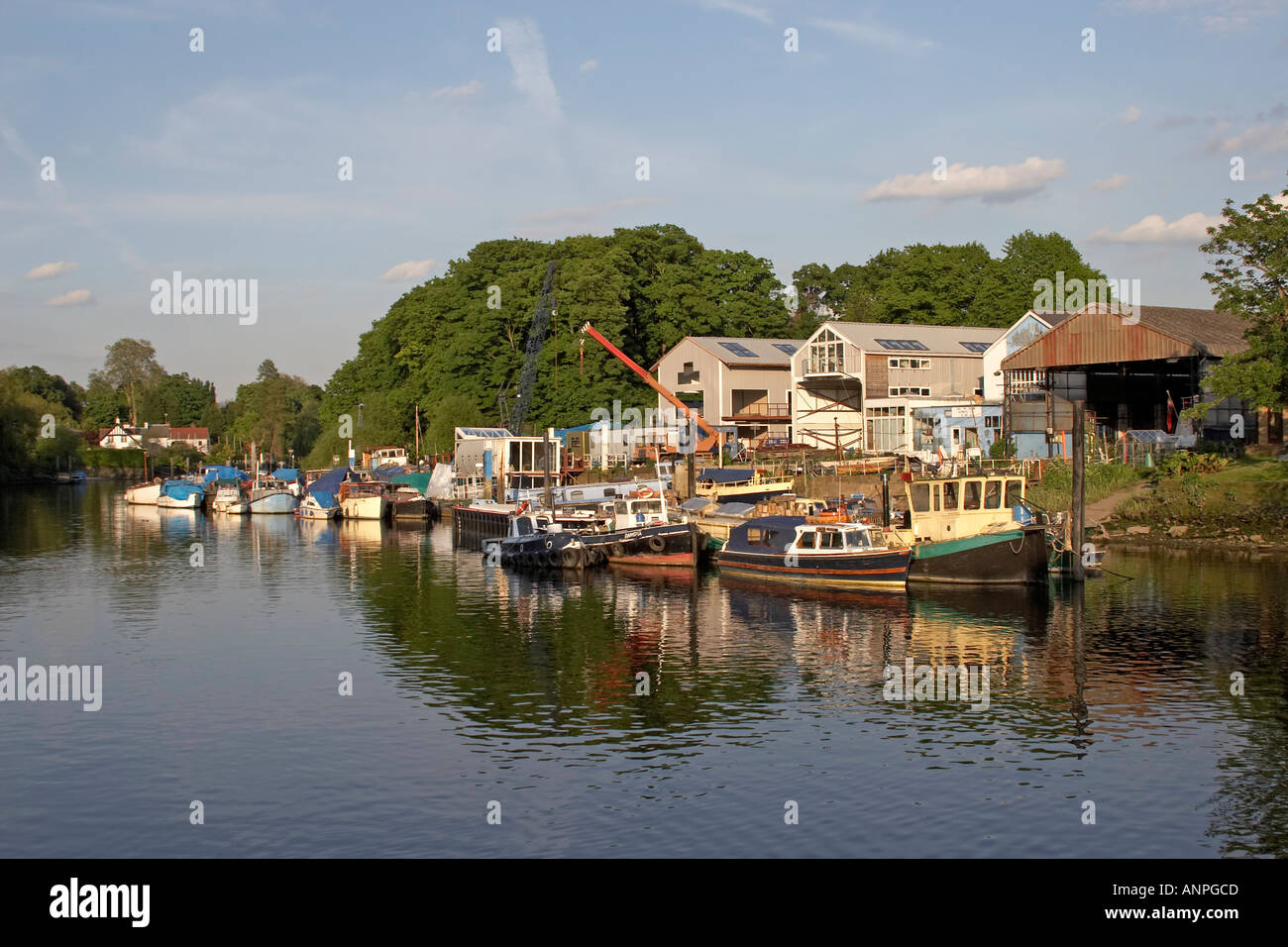 Eel Pie island e il fiume Tamigi al tramonto in estate Twickenham London TW1 Inghilterra Foto Stock