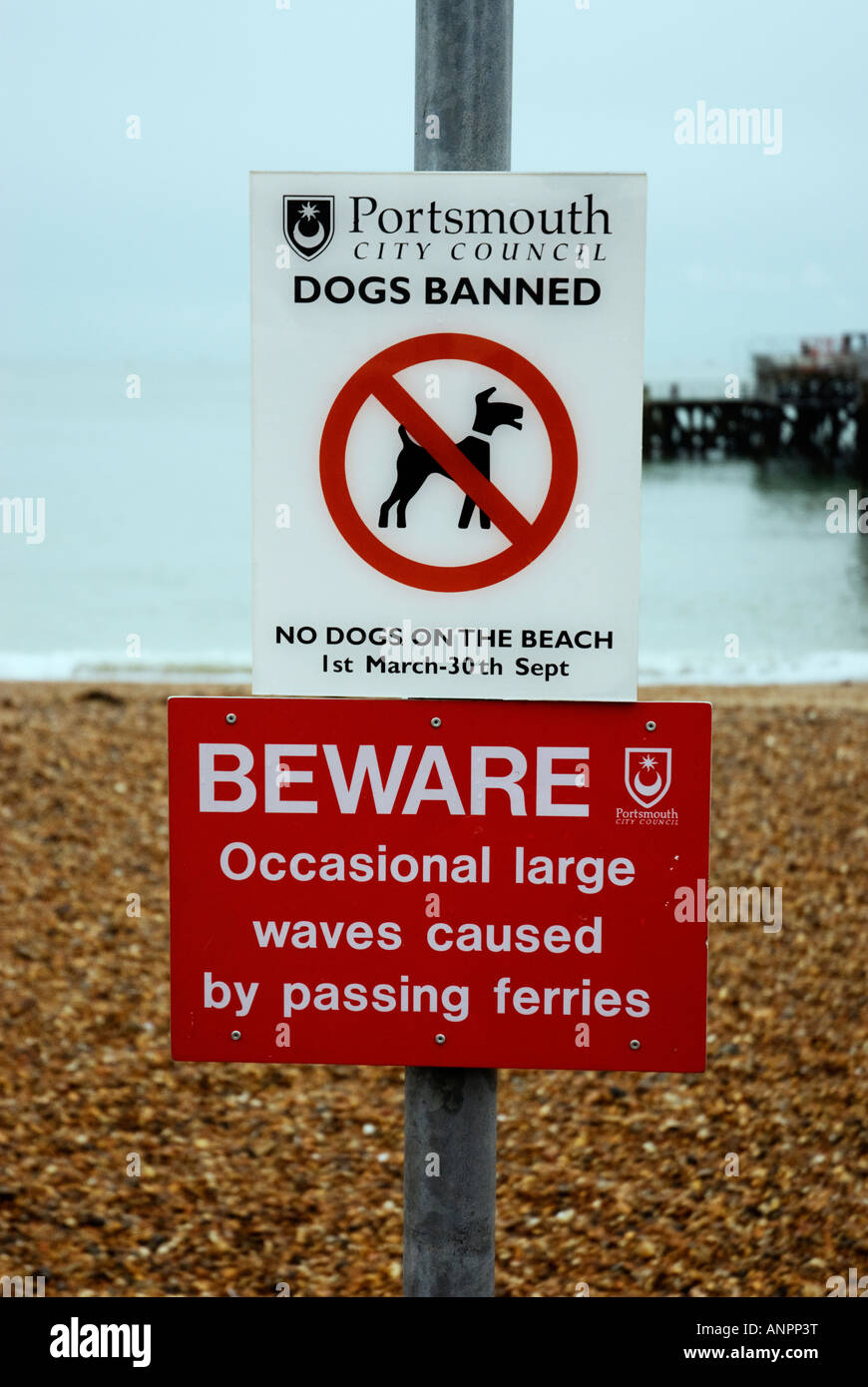 Cani vietati segno sulla spiaggia, Southsea Foto Stock
