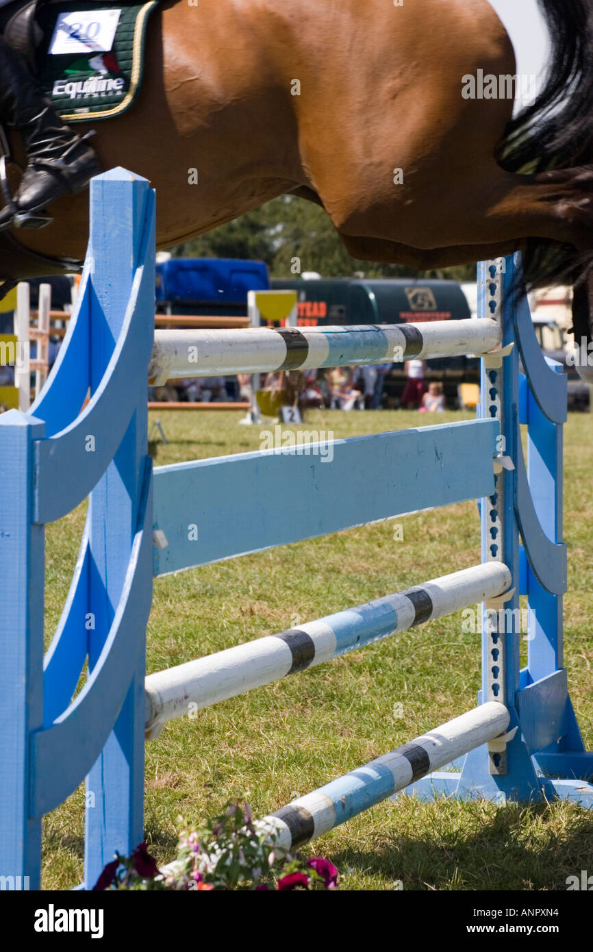 Cavallo saltando su recinzione show jumping concorrenza Foto Stock