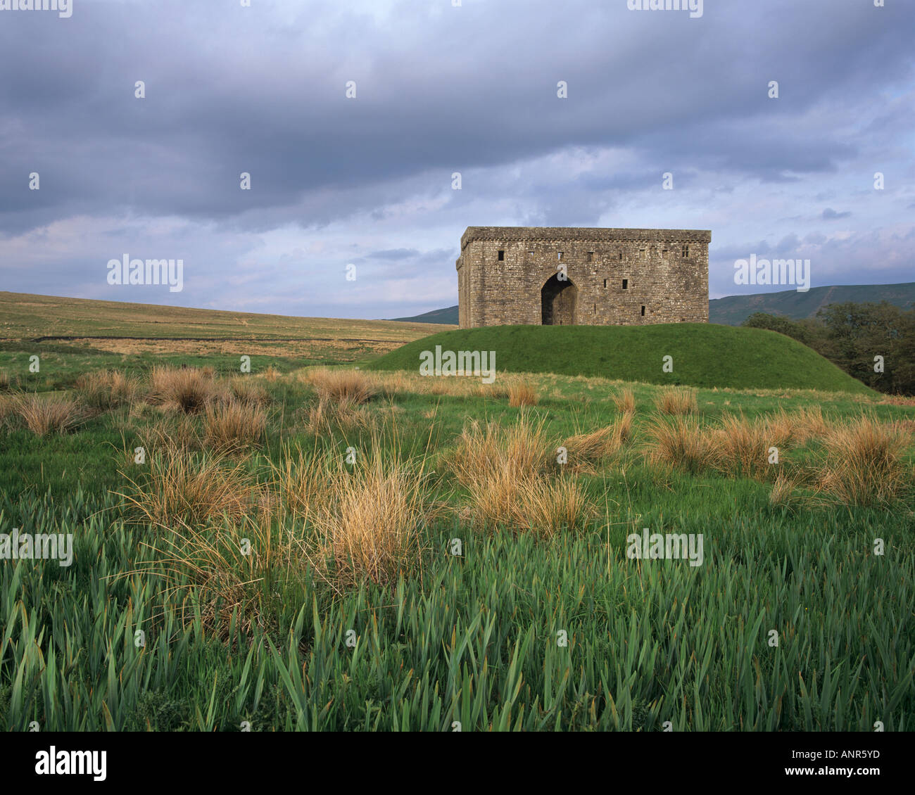 Hermitage castello vicino Newcastleton, in Scottish Borders. Scozia Foto Stock