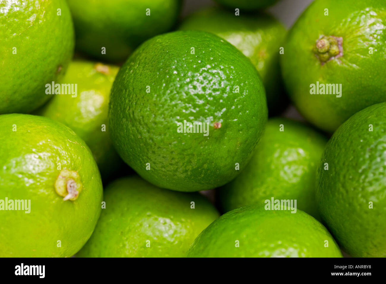 Nome comune: Limes nome latino: Citrus aurantiifolia Foto Stock
