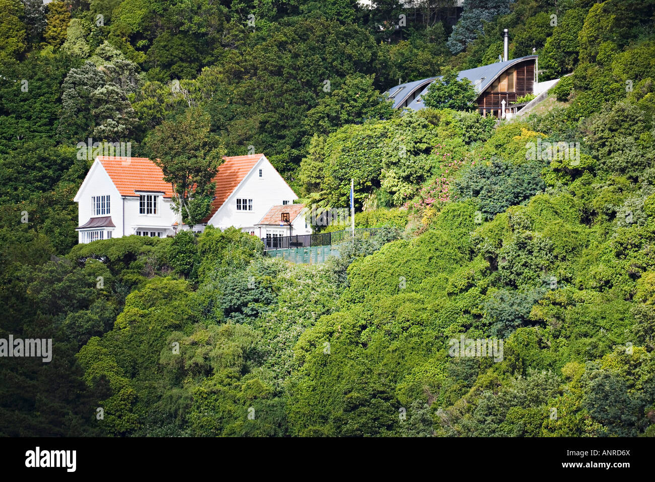 Case sui pendii ripidi Wellington Nuova Zelanda Foto Stock