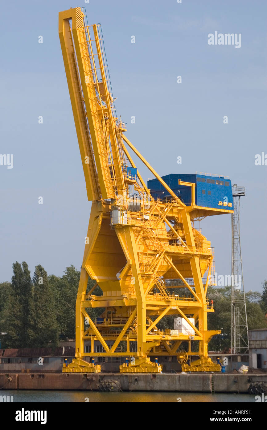 grande gru Foto Stock