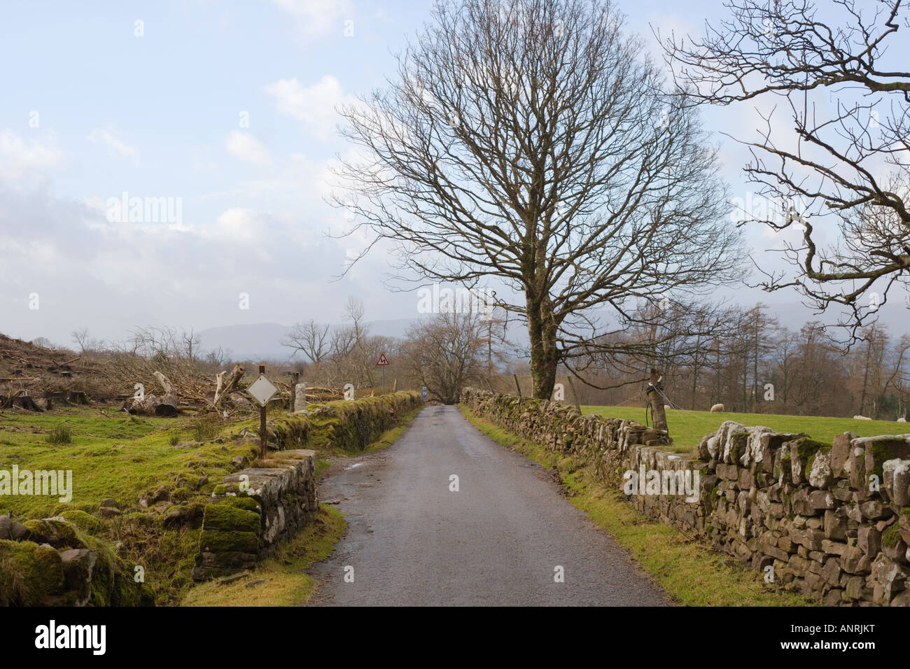 Bealach na Ba o Pass del bestiame. Strada di Applecross village da Applecross lato. L'inverno. Wester Ross. Highlands. La Scozia. Foto Stock