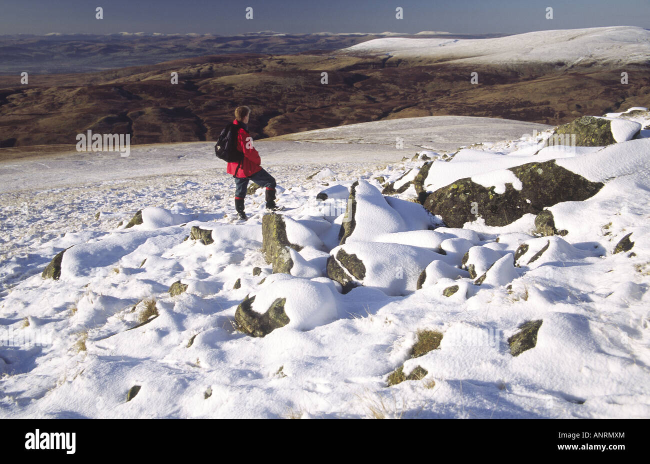 Neve in inverno passeggiate in collina nelle colline scozzesi Lowther Hills sul lato di Queensbeery guardando attraverso di Galloway colline Scotland Regno Unito Foto Stock