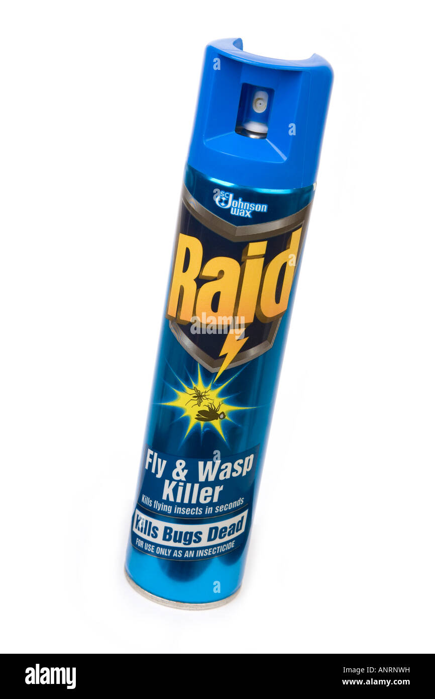 Volare e wasp spray killer può Foto Stock