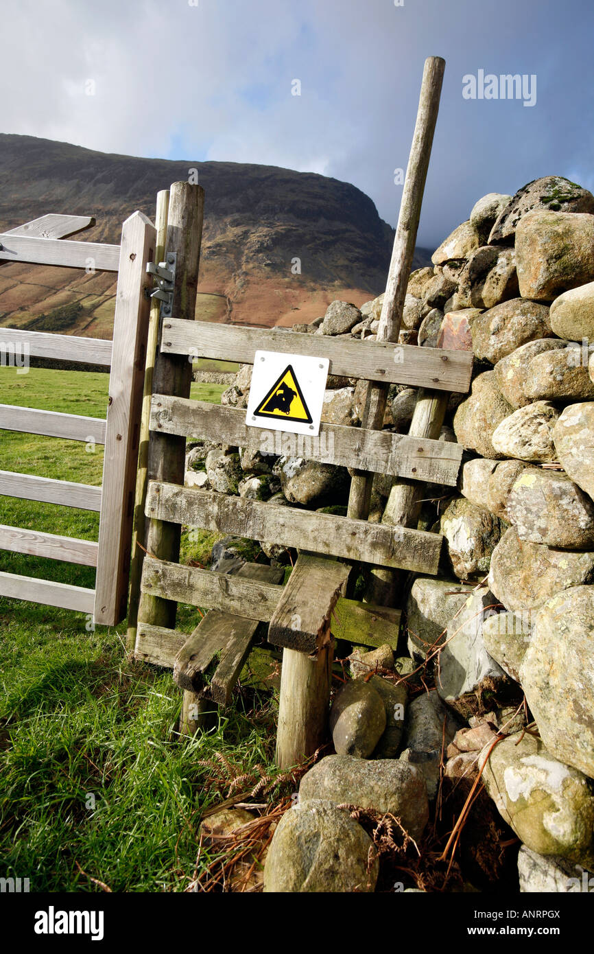 Diffidate di Bull segno di avvertimento sul montante verticale in corrispondenza del bordo del campo Foto Stock