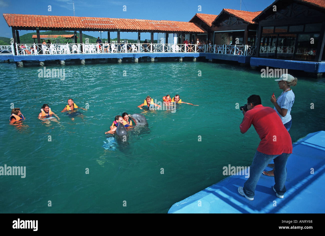 Gruppo di nuoto con i delfini avente le fotografie prese Guadarlavaca Holguín Cuba Foto Stock