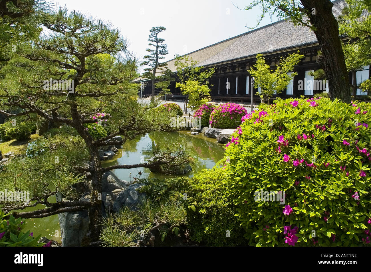Foto di stock dei giardini di fronte alla sala principale del tempio Sanjusangendo a Kyoto in Giappone Foto Stock