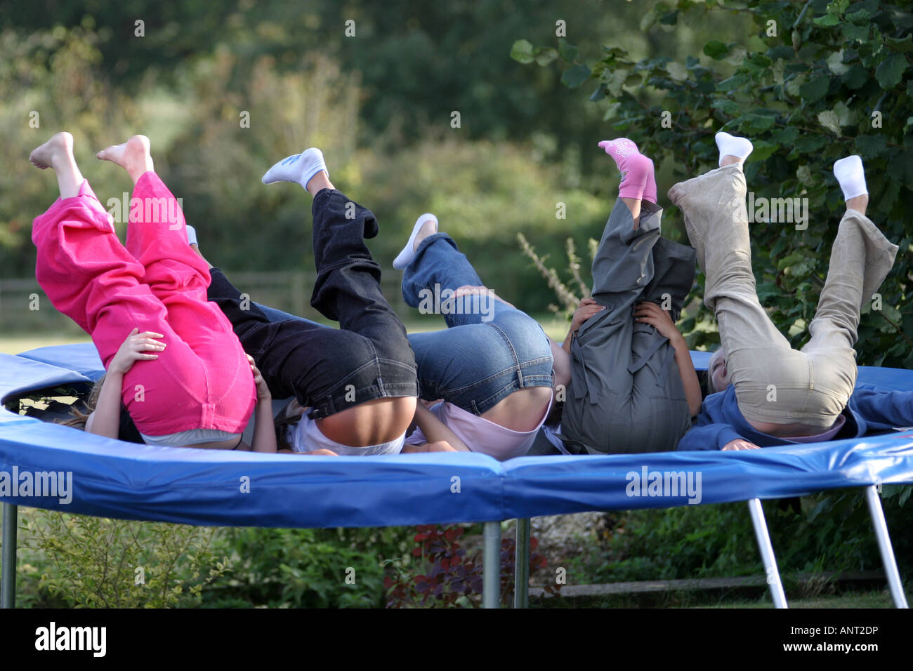 Cinque ragazze avente un grande tempo su un trampolino Foto Stock