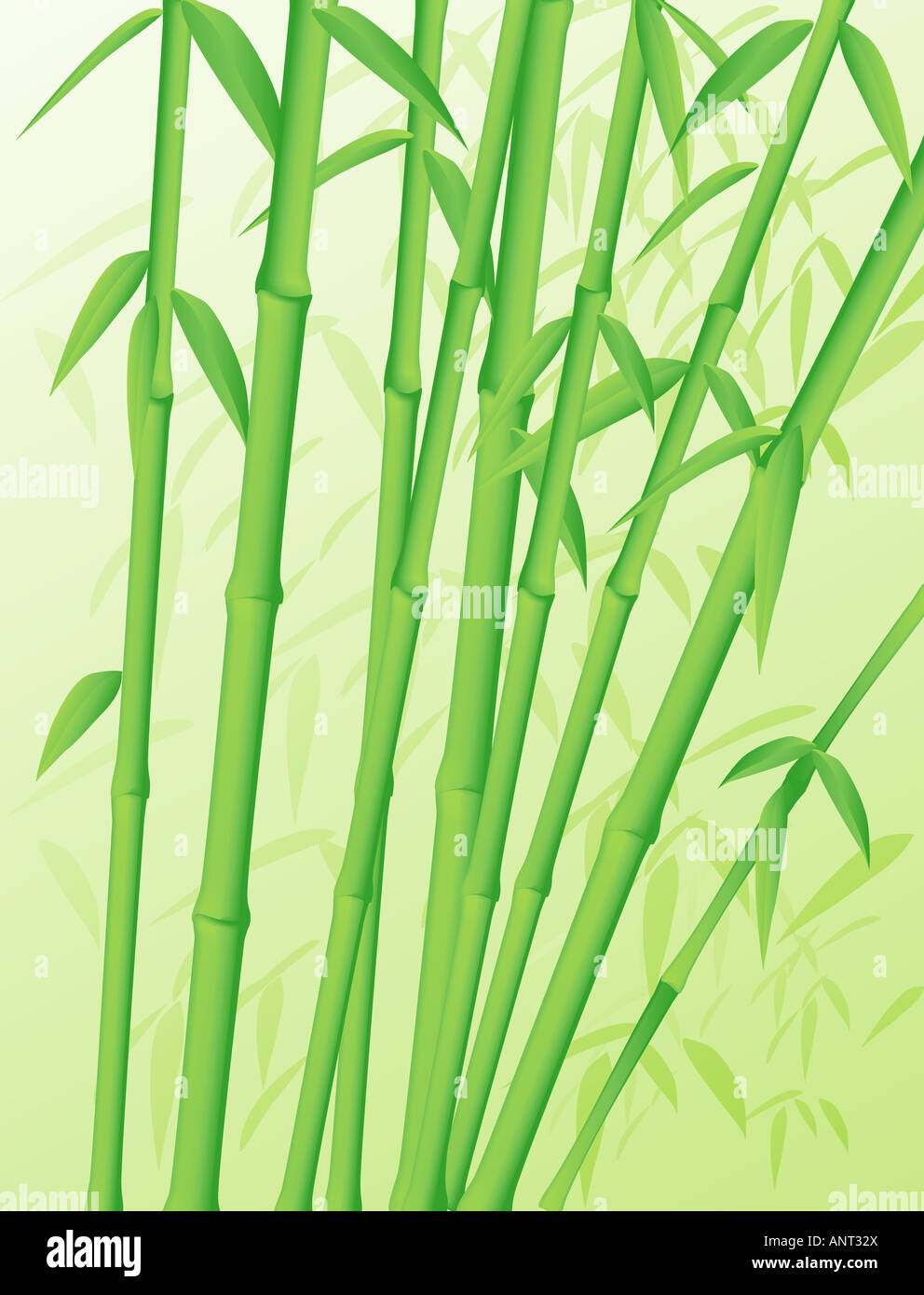 Verde foresta di bamboo steli Foto Stock