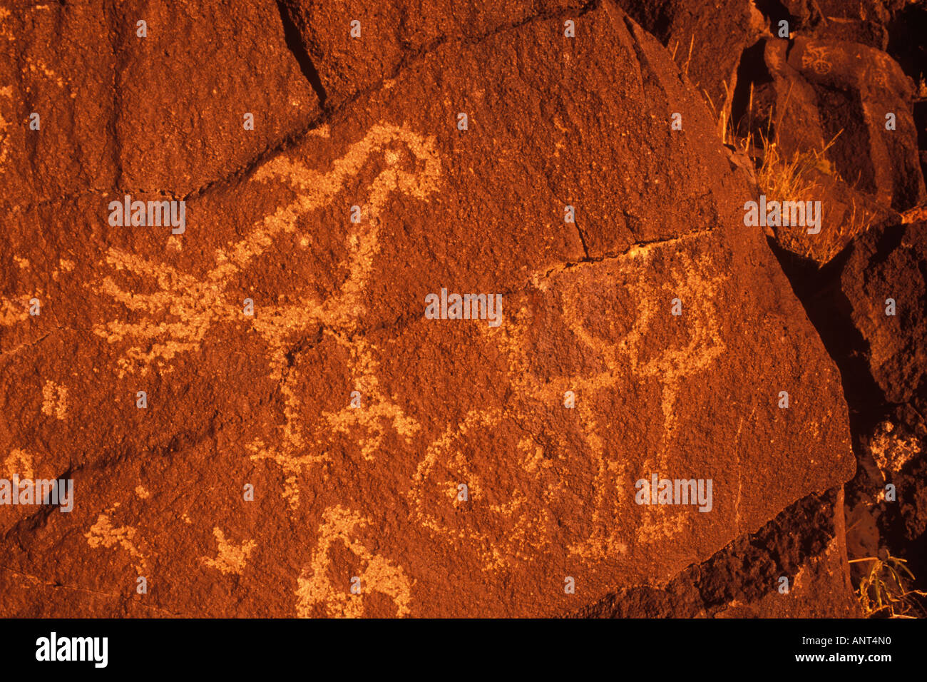 In petroglyph Petroglyph National Monument nei pressi di Albuquerque nel New Mexico Foto Stock