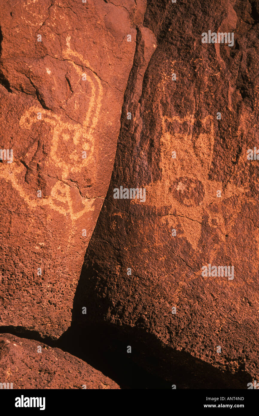 Petroglyph Petroglyph National Monument nei pressi di Albuquerque nel New Mexico Foto Stock