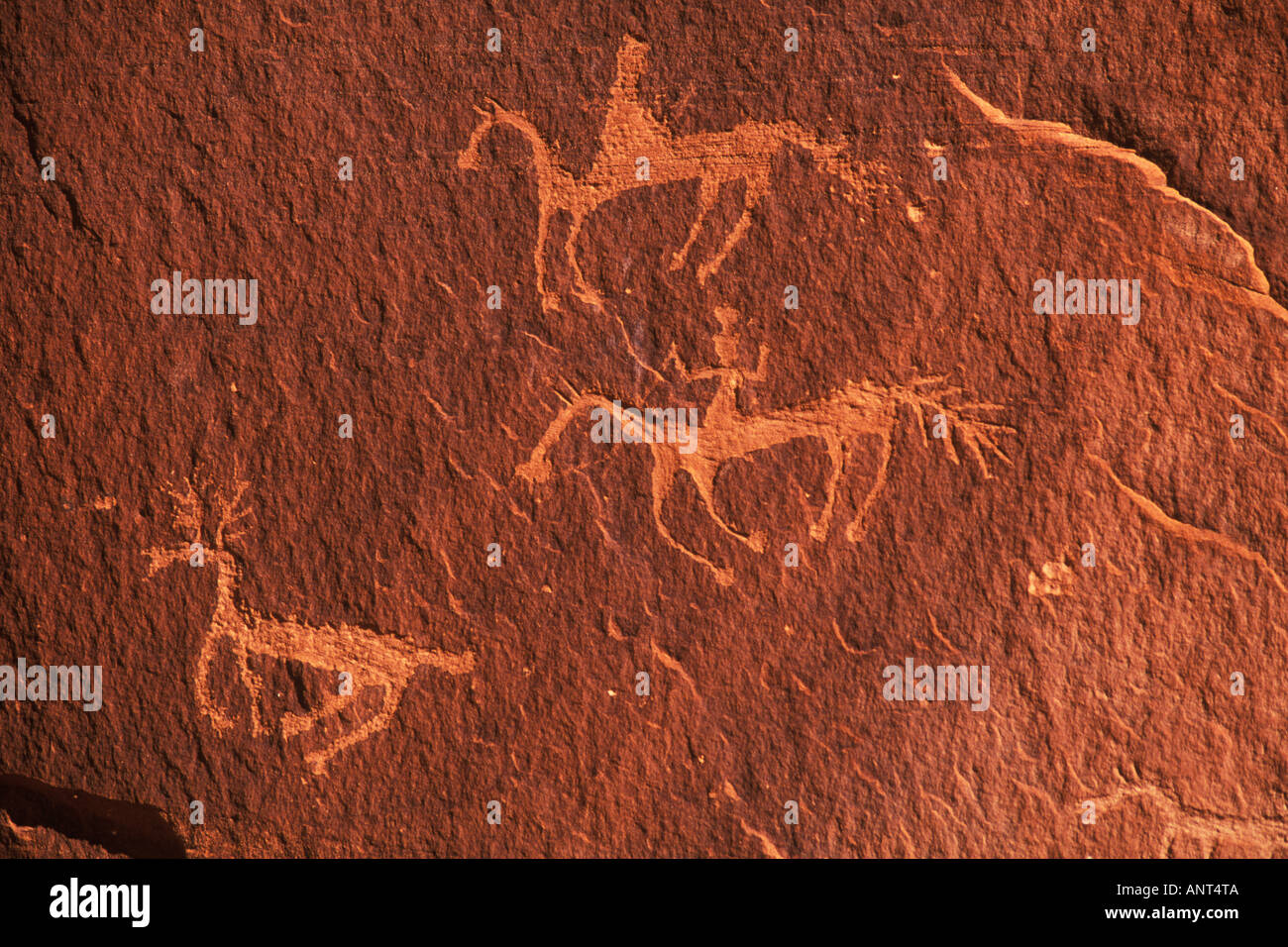 Incisioni rupestri Canyon De Chelly National Monument in Arizona Foto Stock