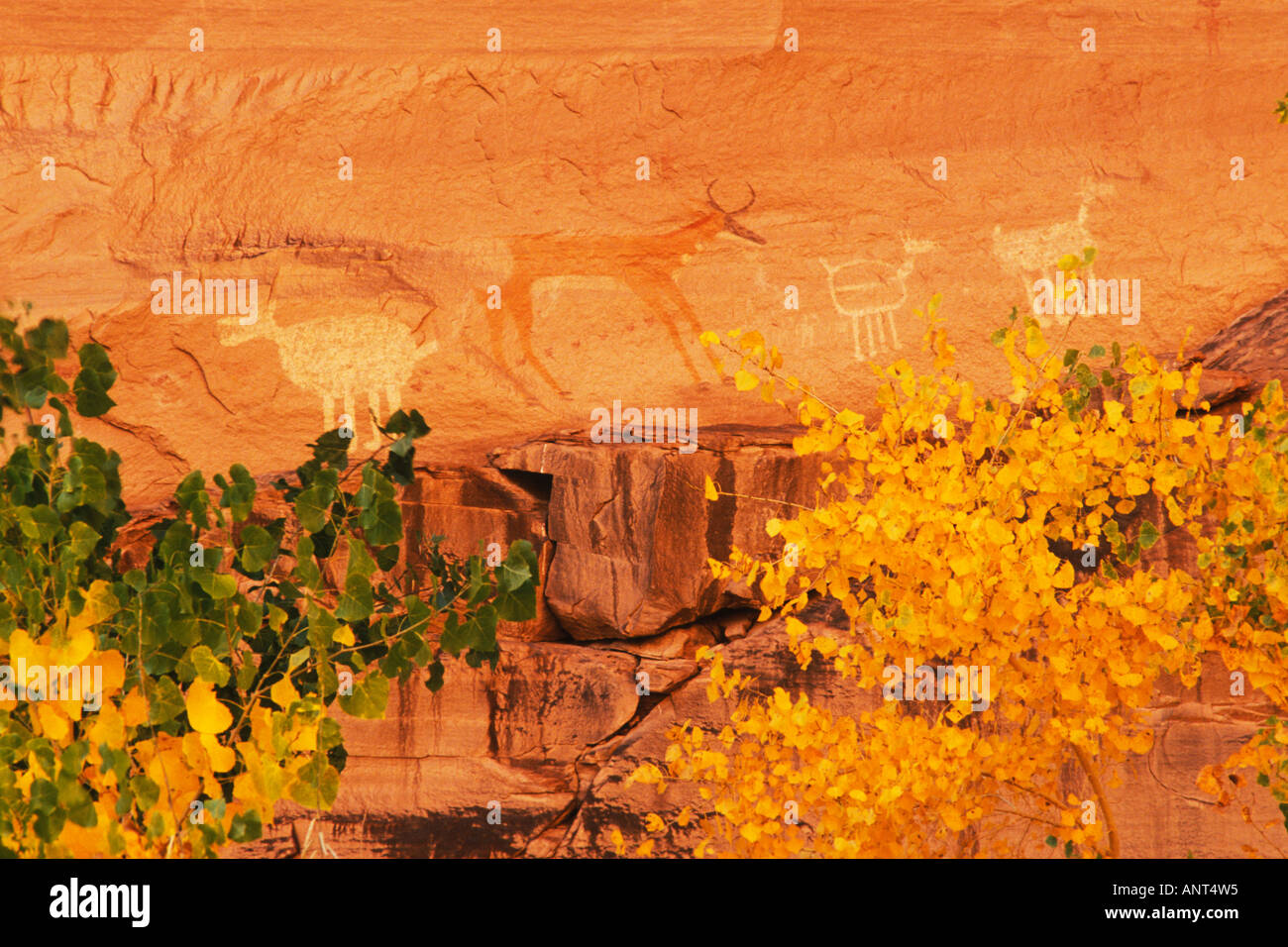 Pittogrammi Canyon De Chelly National Monument in Arizona Foto Stock