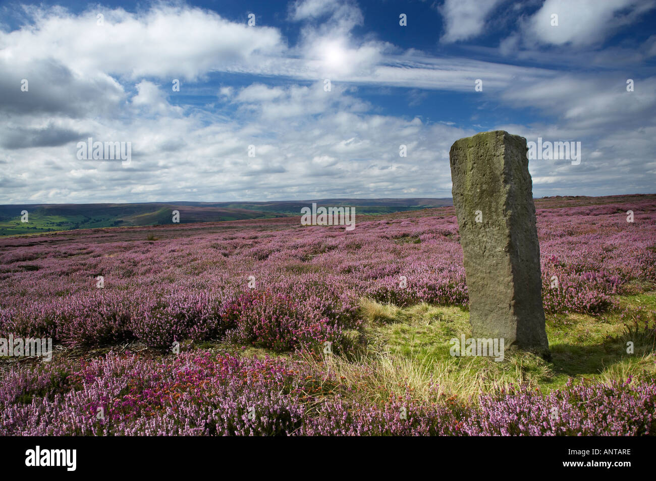 In piedi sulla pietra Danby bassa Moor North York Moors National Park in Inghilterra Foto Stock