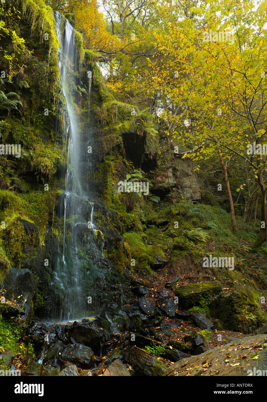 Il famoso Mallyan Spout cascata in Goathland North Yorkshire, Inghilterra Foto Stock
