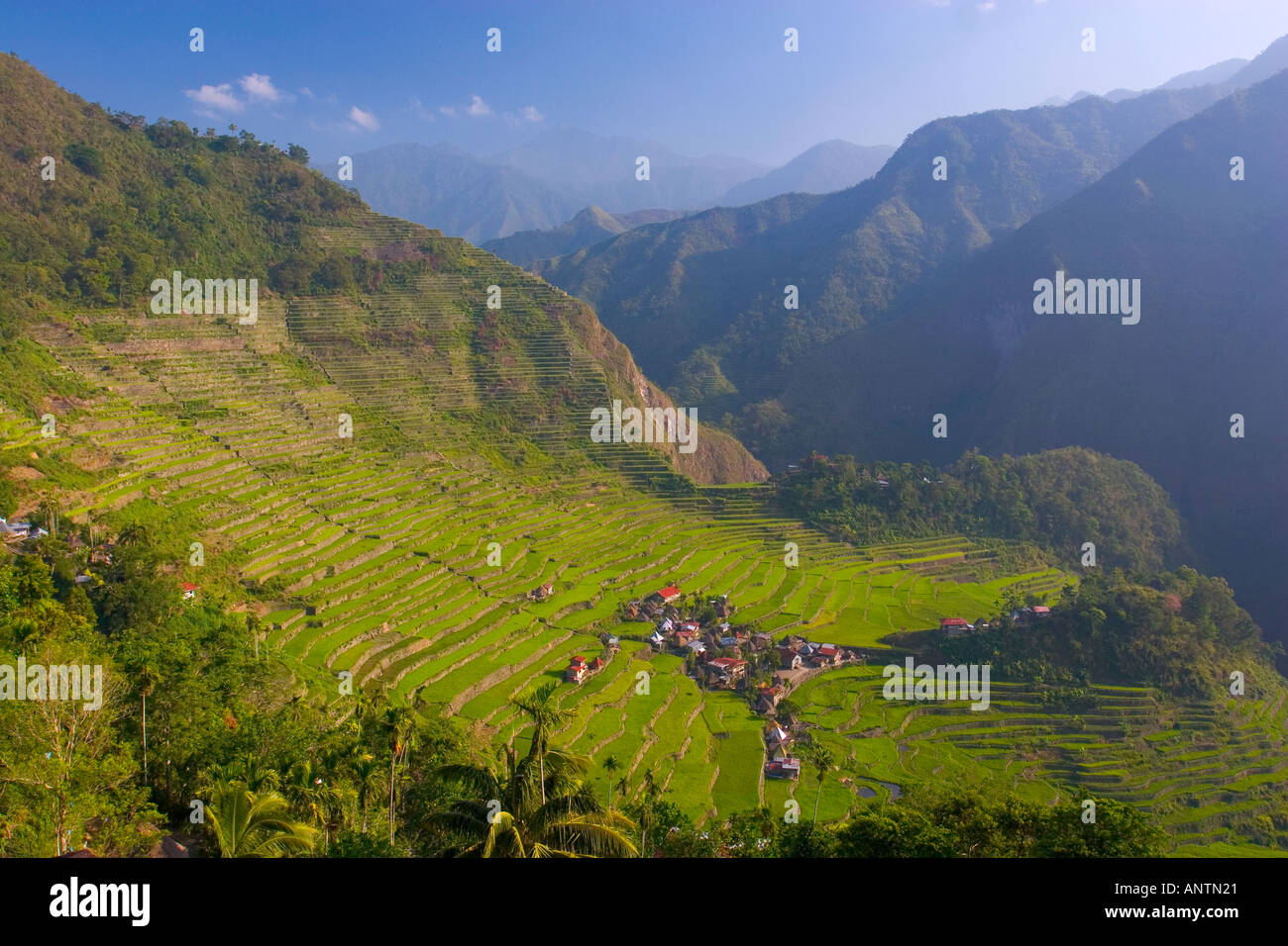 Il pittoresco villaggio di Batad nella prima luce del mattino Luzon nelle Filippine Foto Stock