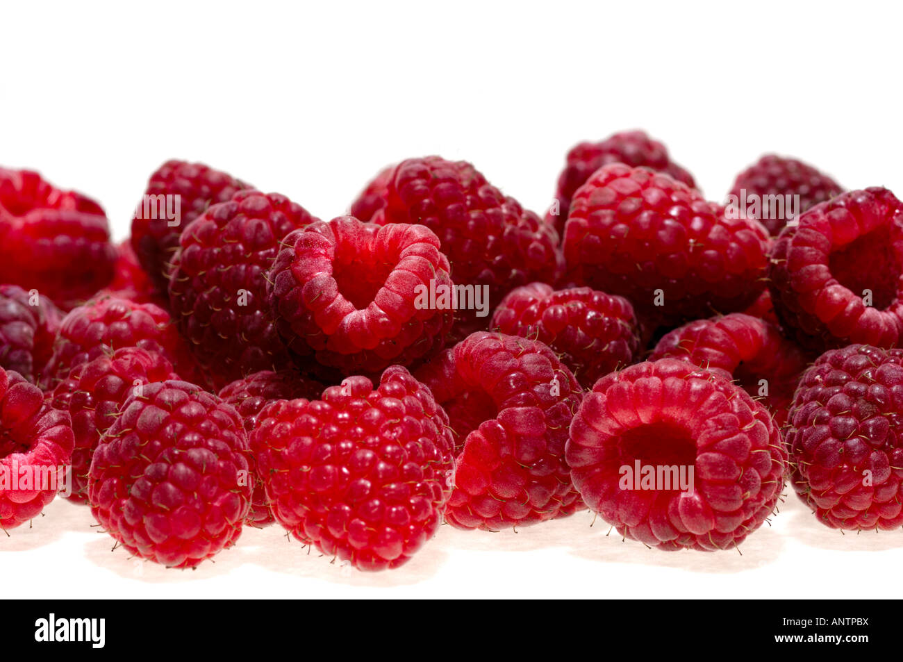 lamponi Foto Stock