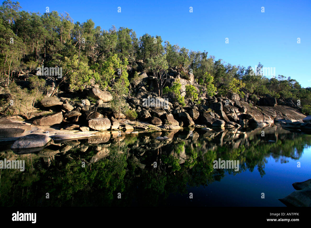 Fiume Severn Lemon Tree Kwiamble piana Parco Nazionale Australia Foto Stock