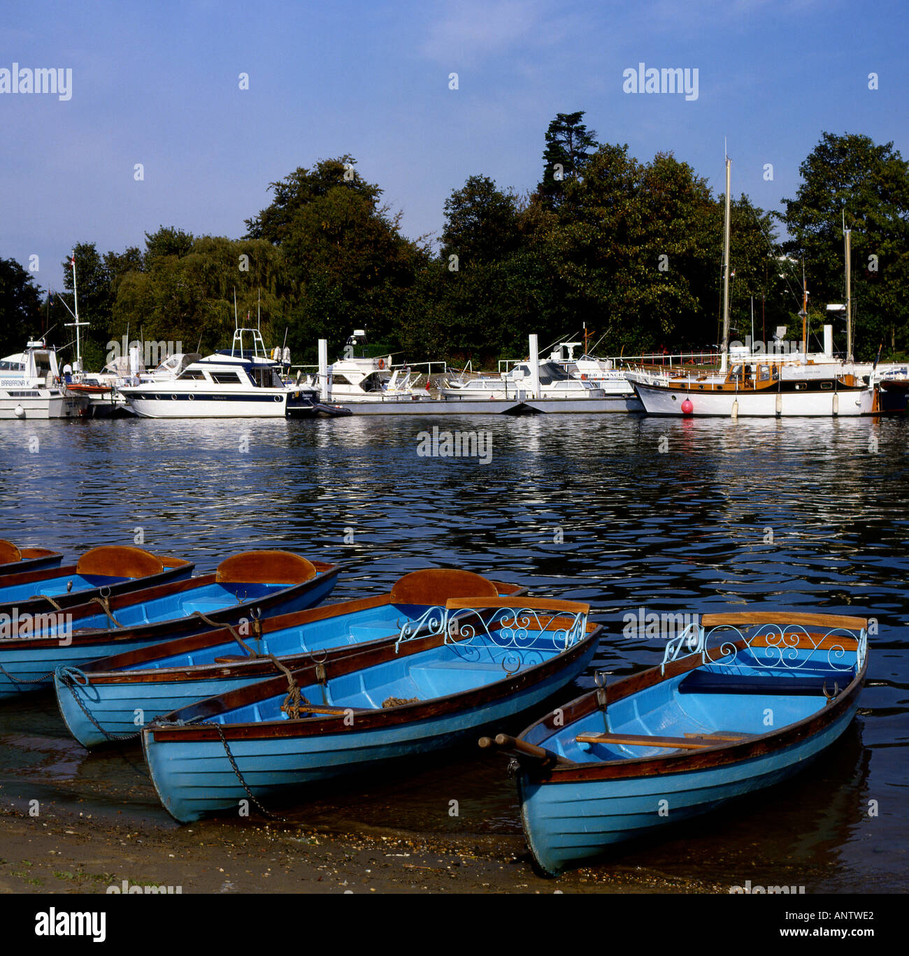 Il fiume Tamigi a Oriente Molesley nel Surrey in Inghilterra Foto Stock
