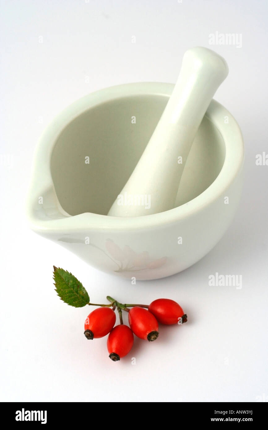 Mortaio con rosa canina Foto Stock