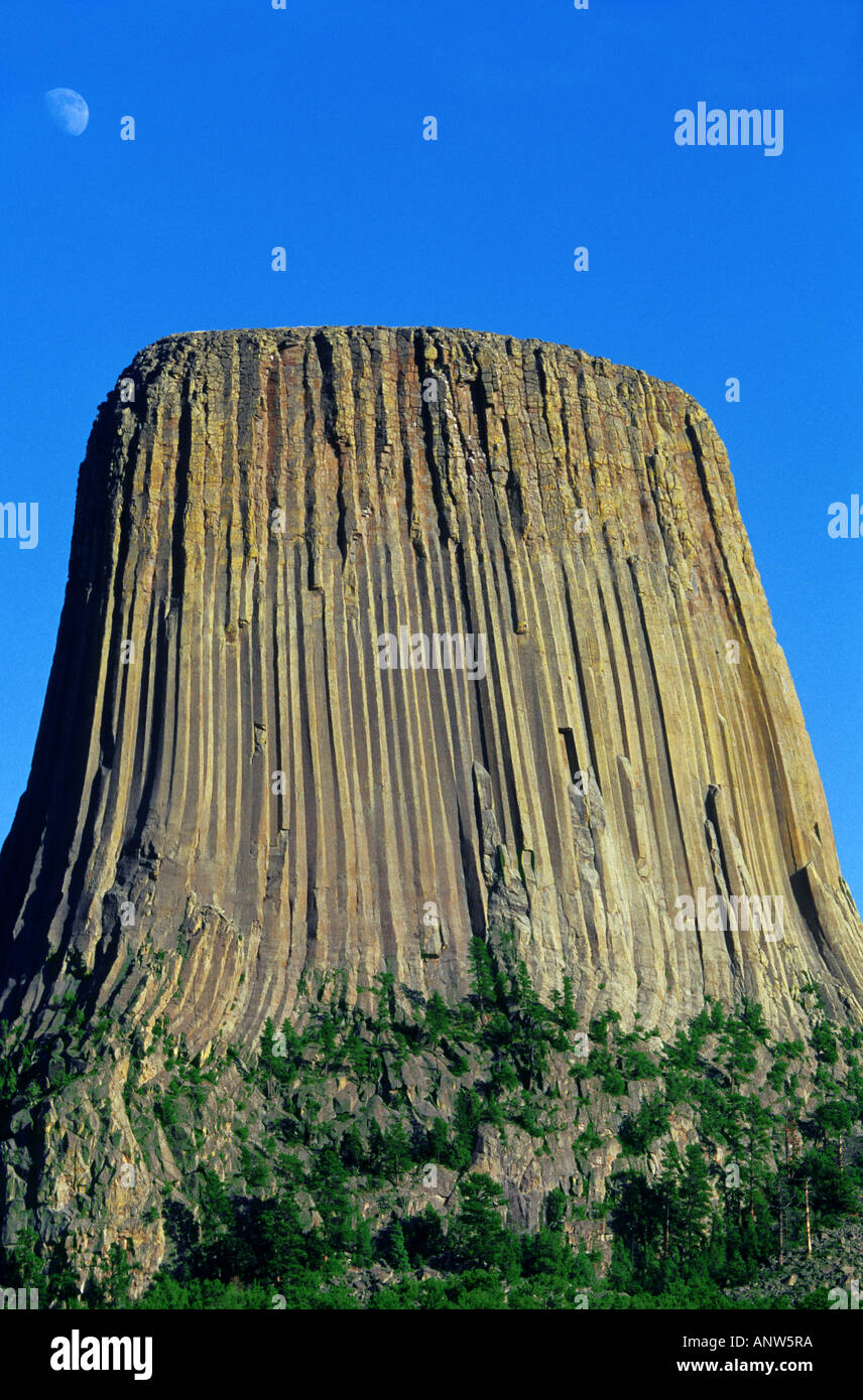 DEVILS TOWER MONUMENTO WYOMING USA Foto Stock