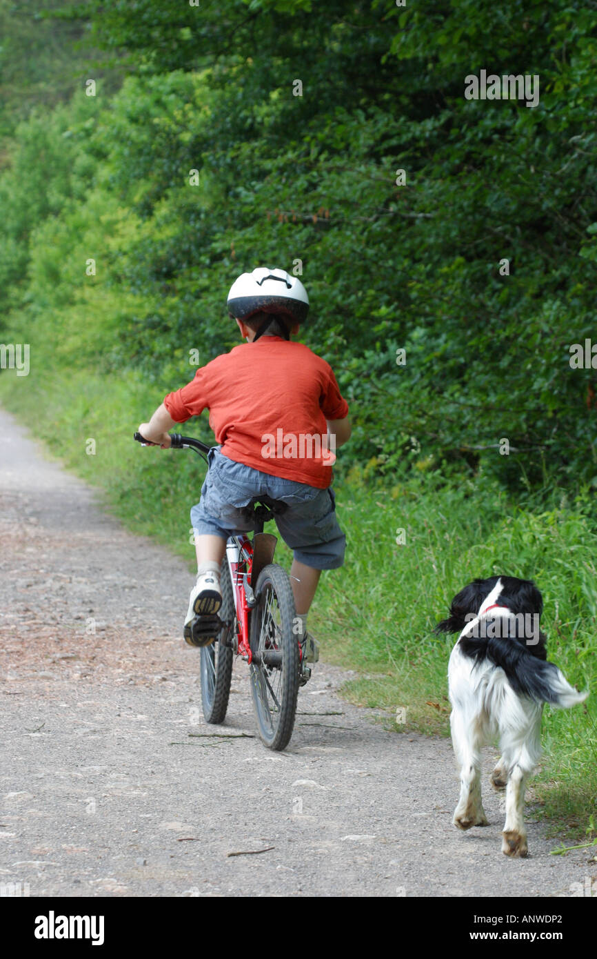 Ragazzo giovane di età compresa tra dieci anni il ciclismo Home lungo una pista forestale con il suo cane seguenti Foto Stock