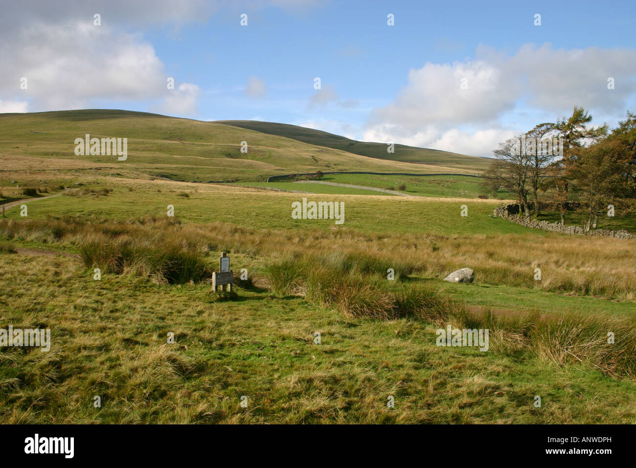 Alta e Pike West cadde, Cumbria Foto Stock