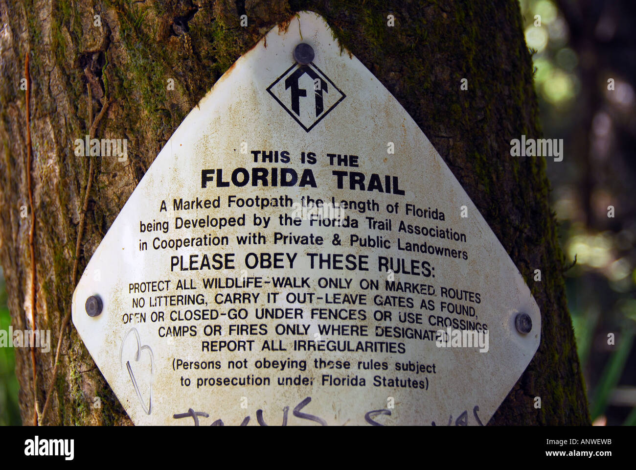 Florida segnavia su albero sport oudorr ricreazione Foto Stock