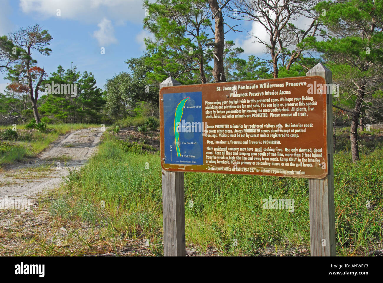 Florida St Joe Joseph penisola parco dello stato riserva selvaggia sentiero Foto Stock