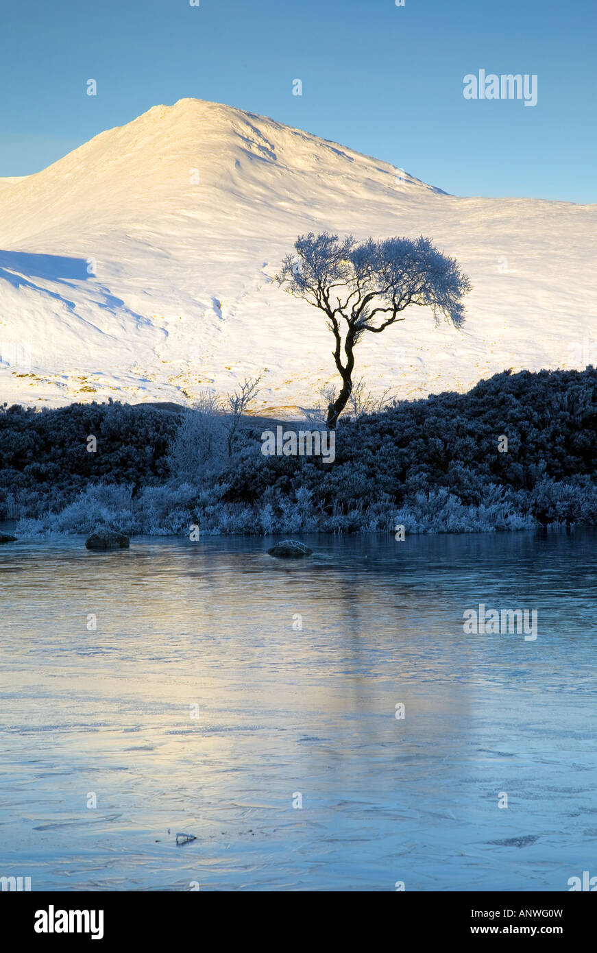 Inverno sul Rannoch Moor cercando di Blackmount picchi, Highlands scozzesi, Lochaber, Scotland, Regno Unito. Foto Stock
