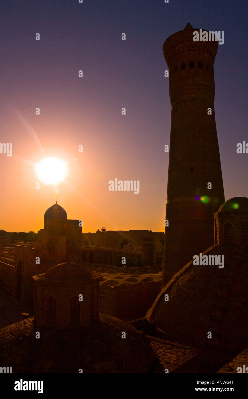 Minareto Kalon al tramonto Bukhara Uzbekistan Foto Stock