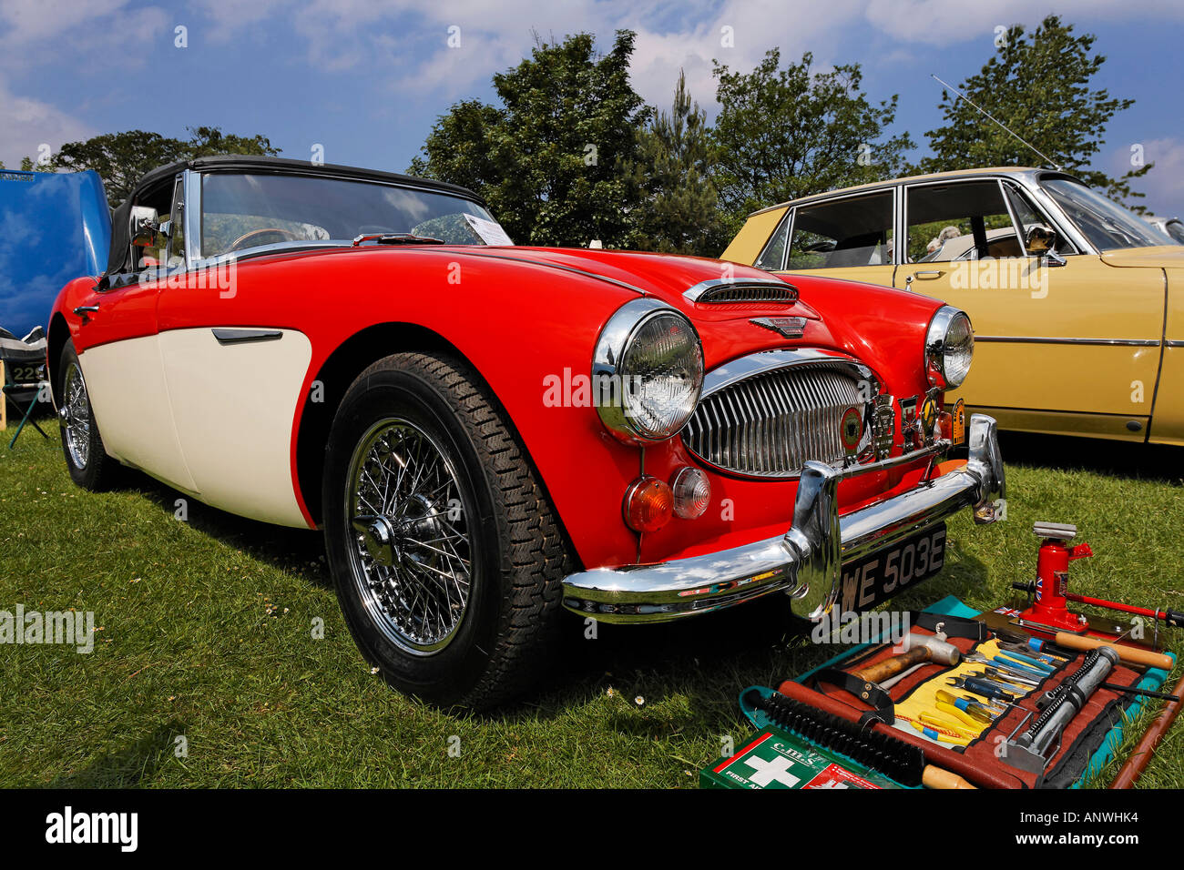 Austin Healey all vintage show, Cheshire, Inghilterra Foto Stock