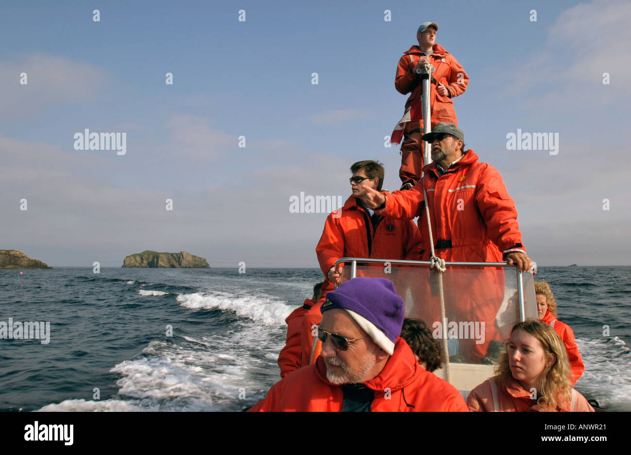 Un zodiac pieno di persone su un avvistamento di balene viaggio in Trinity Bay Peninsula Bonavista Terranova in Canada Foto Stock