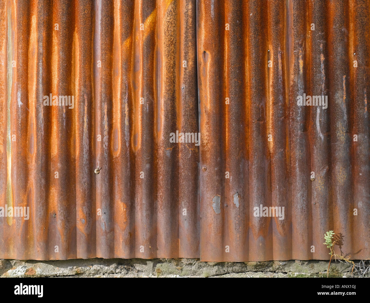 Rusty foglio ondulato Foto Stock