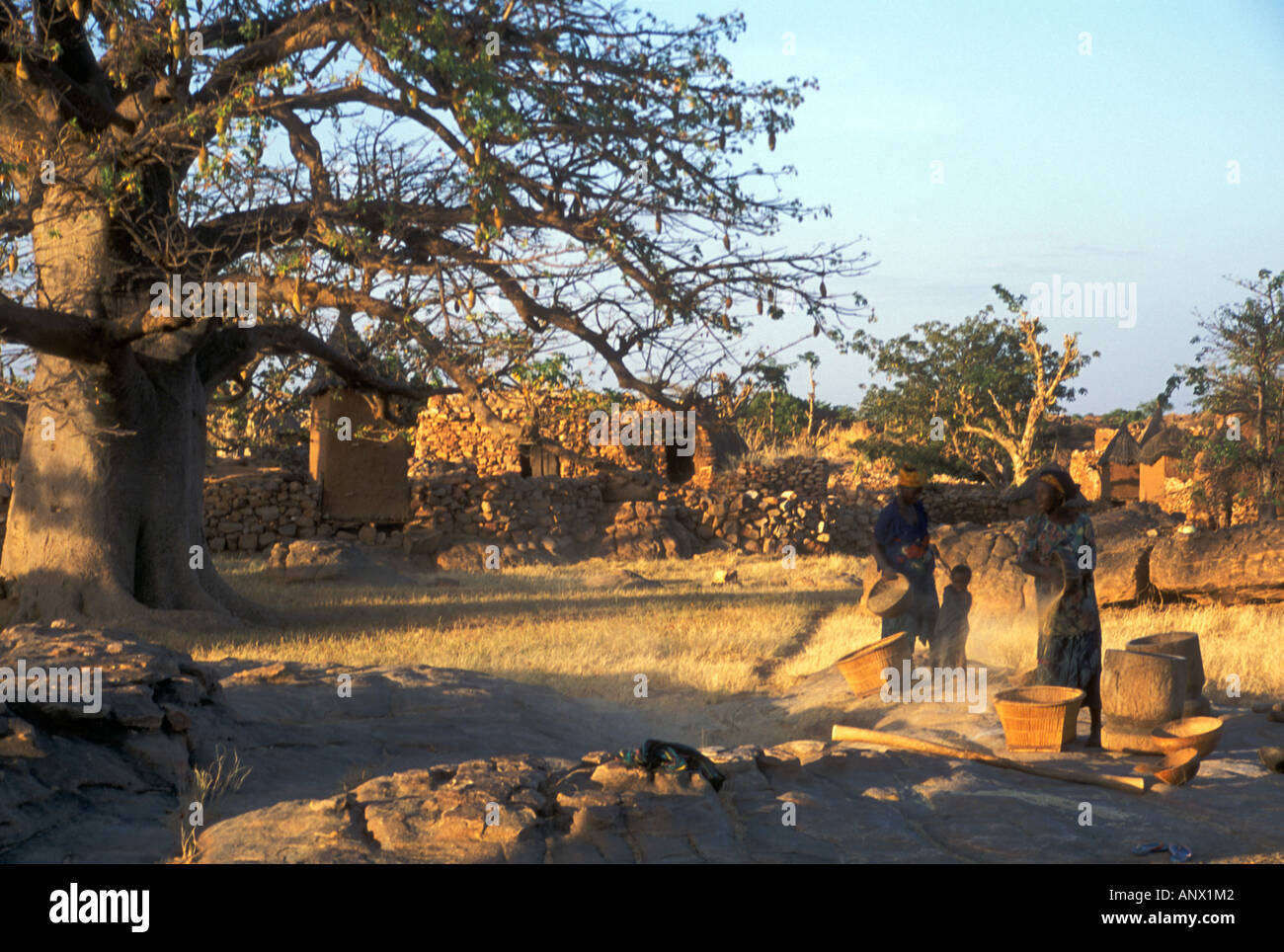 Donne setacciatura di grano vicino alla parte superiore del villaggio Idjeli Idjeli fare o Dono Dogon, in Mali (MR) Foto Stock