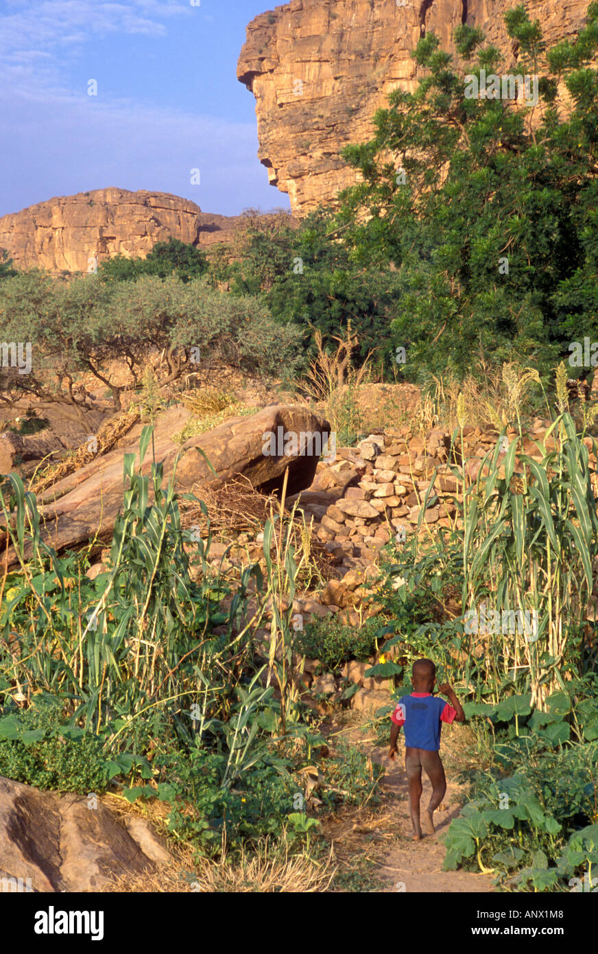 Un giovane ragazzo camminando giù per un sentiero in Idjeli Na - il più basso dei tre Idjeli villaggi Dogon del Mali (MR) Foto Stock