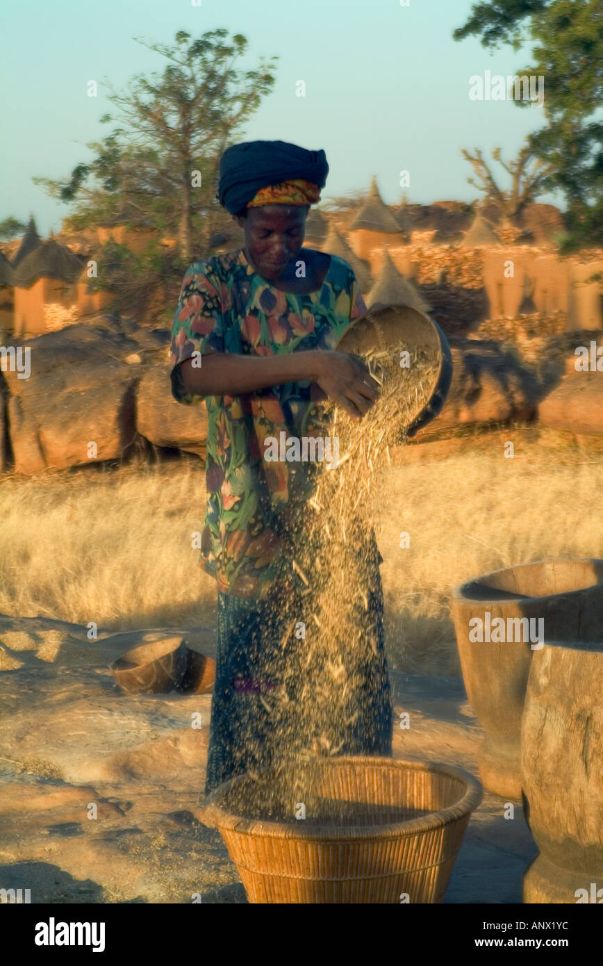 Africa, Mali, Dogon donna granella di smistamento nel villaggio di Idjeli Foto Stock