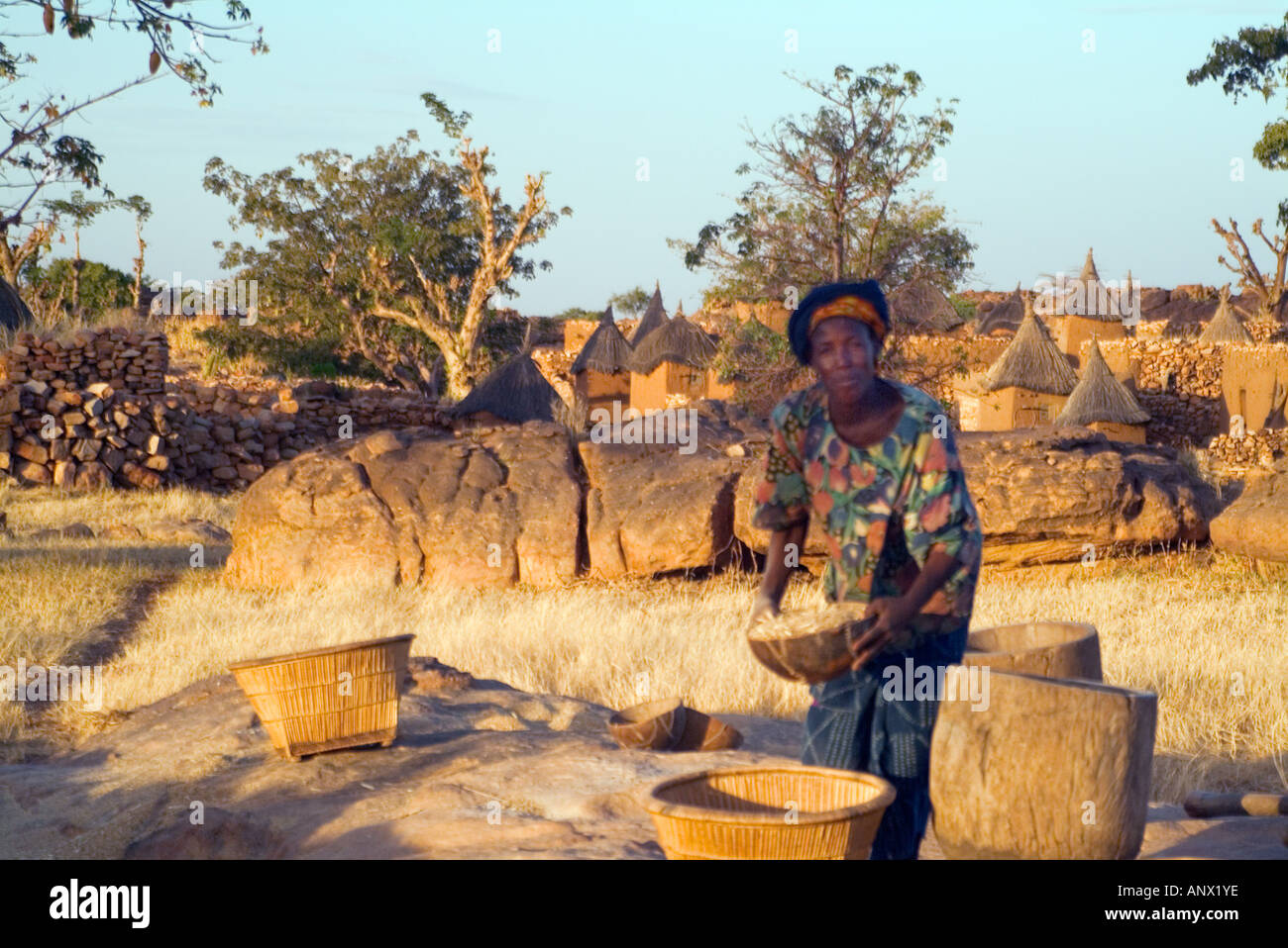 Africa, Mali, Dogon donna che lavorano con grano nel villaggio di Idjeli Foto Stock