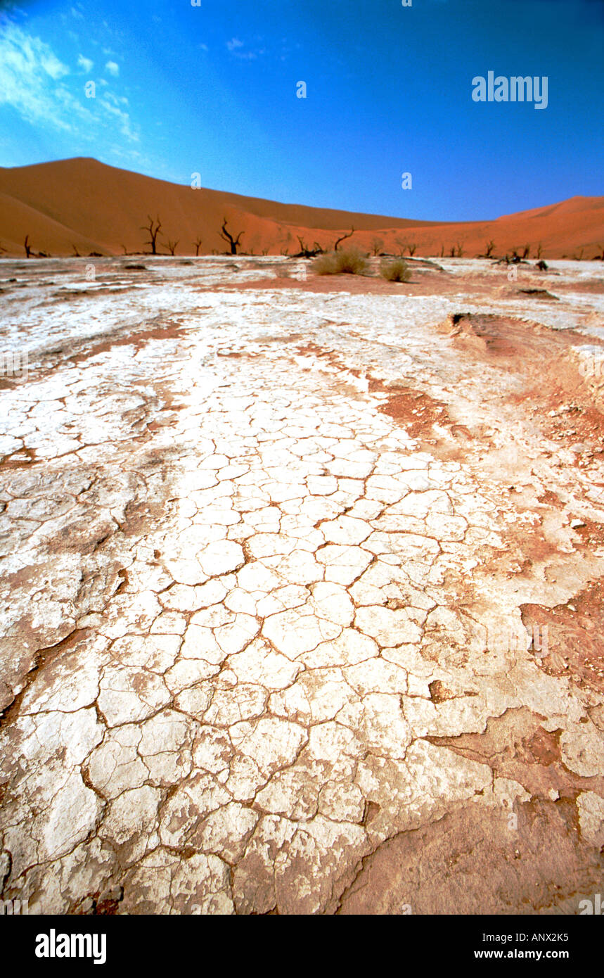 Africa, Namibia, Naukluft National Park, Sossusvlei, Deadvlei. Antica dry & incrinato lakebed di Deadvlei. Foto Stock